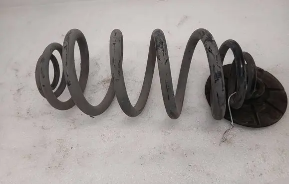 Opel Ampera Rear coil spring 22810673