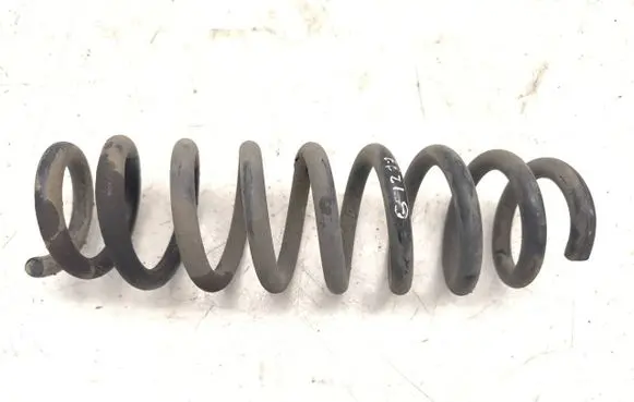 Rear coil spring