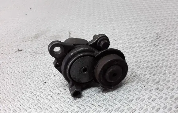 Land Rover Freelander Generator/alternator belt tensioner 754000