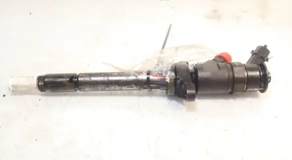 Citroen C3 Picasso Fuel injector 0445110311