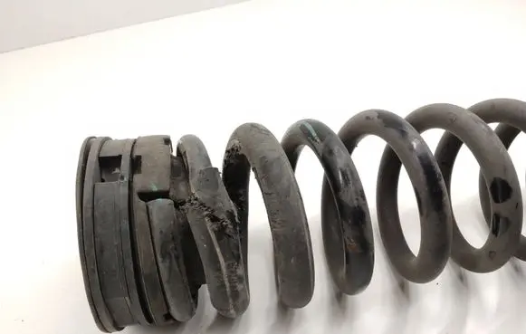 Rear coil spring
