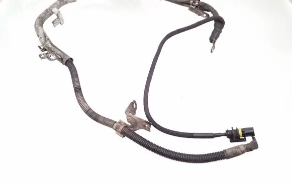 Mercedes-Benz CLS C219 Wires (starter motor) A2195400807 0455452828