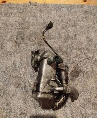 Nissan Qashqai+2 EGR valve cooler 
