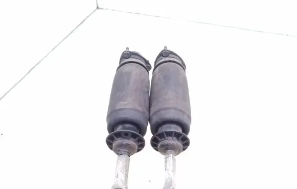 AC 428 Air suspension front shock absorber 1744211 1343100
