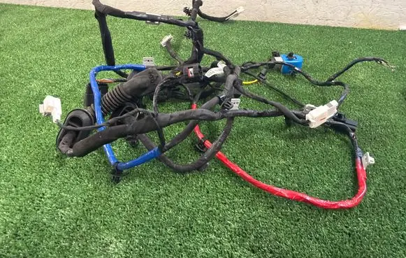 Hyundai Ioniq 5 Rear door wiring loom 91655 GJ040