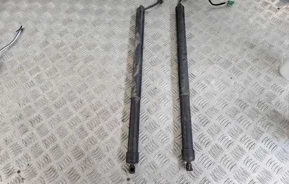 Opel Grandland X Tailgate/trunk strut/damper 9828629680 9828629780