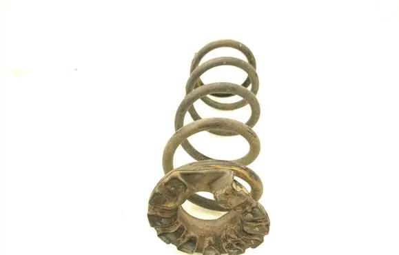 Nissan Murano Z50 Rear coil spring 