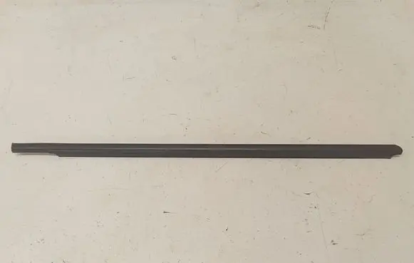 Nissan Note (E11) Rear door trim (molding) 24208078