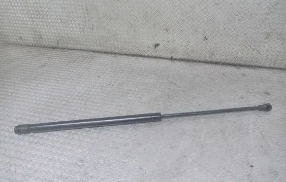 Tailgate/trunk strut/damper