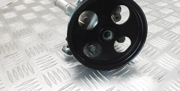 Opel Insignia A Power steering pump ZJPL001