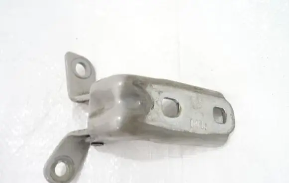 Rear door lower hinge