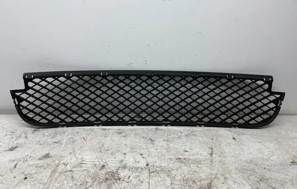 BMW X3 E83 Front bumper lower grill 3416203