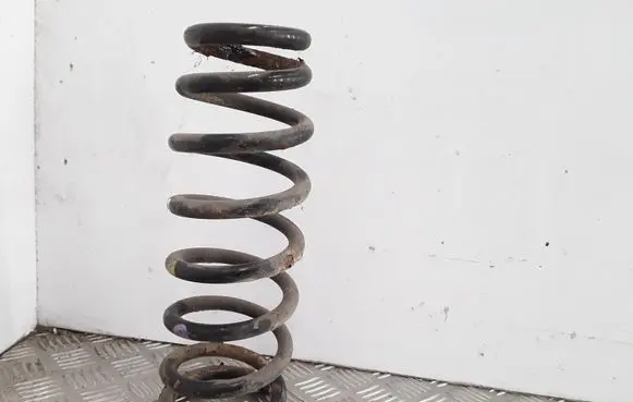 Hyundai Sonata Rear coil spring 81605