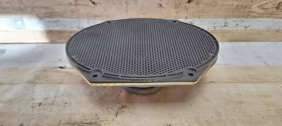 Rear door speaker