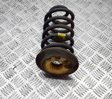 Opel Mokka Rear coil spring 95107103