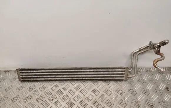 Porsche Cayenne (9PA) Power steering radiator 