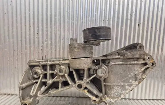 Nissan Qashqai Generator/alternator bracket 8200669495