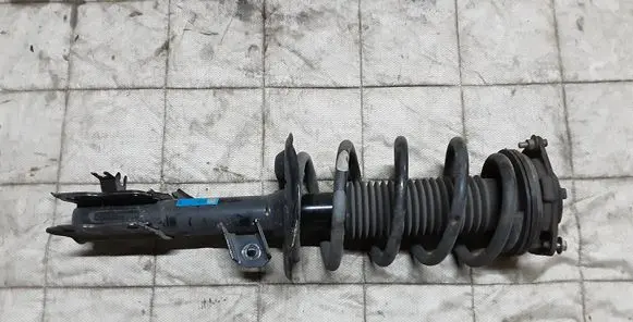 Nissan Qashqai Front shock absorber with coil spring 824903009191