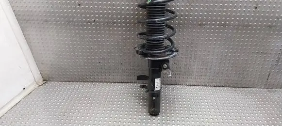 Ford Transit - Tourneo Connect Front shock absorber/damper DV61-18045-LE