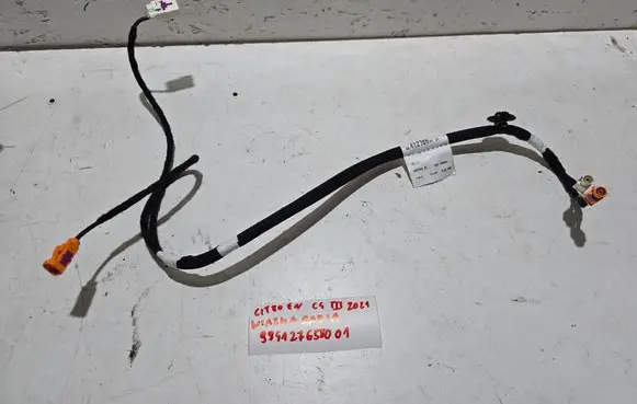 Citroen C4 III e-C4 Other wiring loom 9841276580