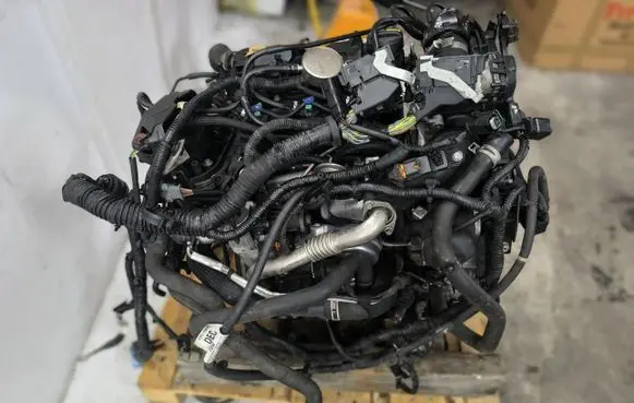 Ford Focus Engine DV5FC