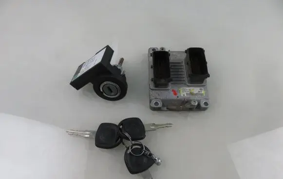 Engine control unit/module ECU