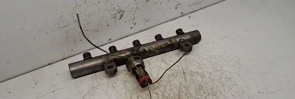 Peugeot 407 Fuel injector supply line/pipe 9645609580