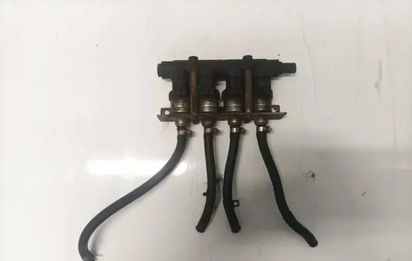 Volkswagen Phaeton LP gas injector 110r006410