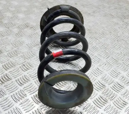 Tesla Model Y Rear coil spring 118847900A