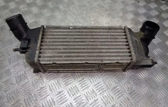 Peugeot 407 Intercooler radiator 874823NK