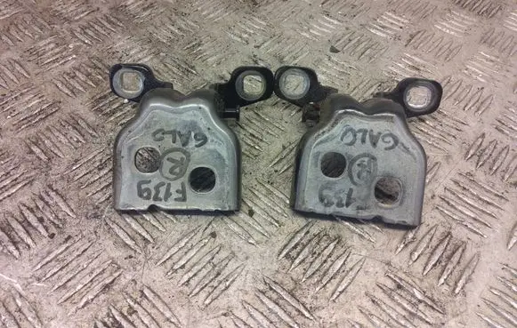 Dacia Duster II Rear door hinge set 