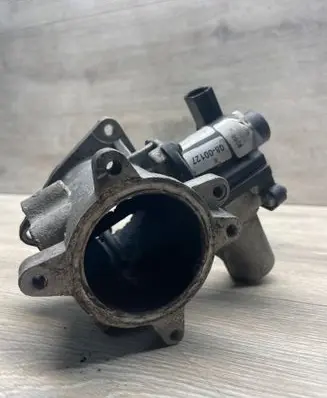 Volkswagen Crafter EGR valve 700823010 P0868062 201109