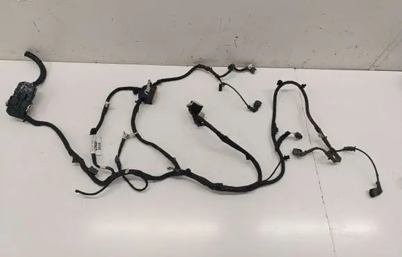Ford Mustang Mach-E Other wiring loom PJ8T14B599