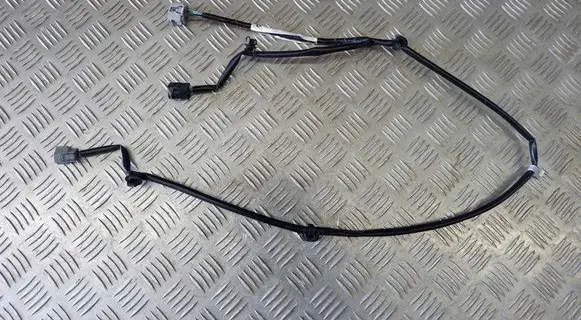 Other wiring loom