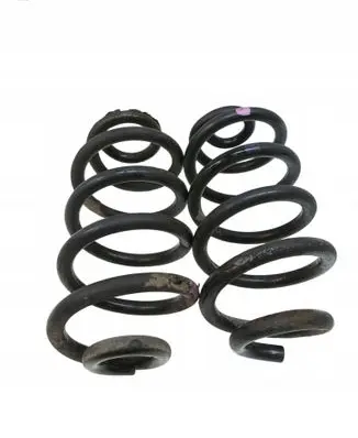 Renault Koleos I Rear coil spring 