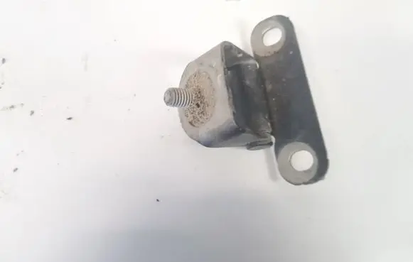 Rear door lower hinge