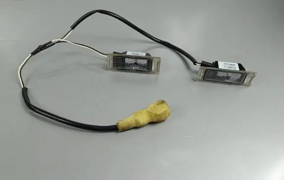 MG ZS Number plate light 10515838