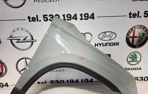 Skoda Karoq Fender