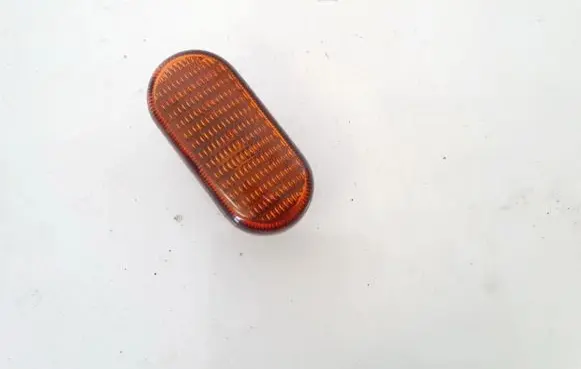 Front fender indicator light
