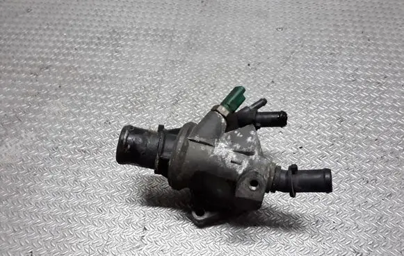 Thermostat/thermostat housing