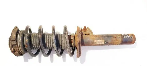 Skoda Superb B6 (3T) Front shock absorber/damper 3c0413031bb