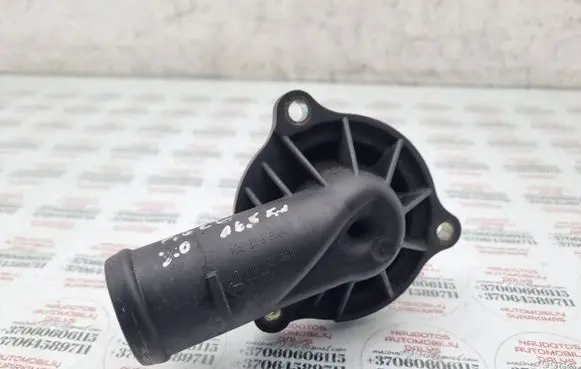 Thermostat/thermostat housing
