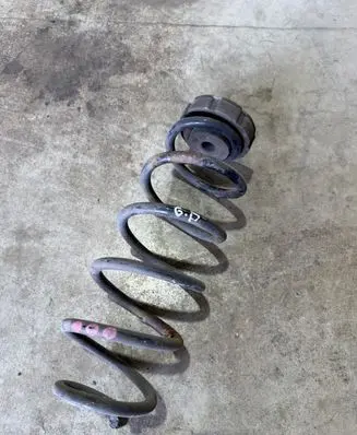 Rear coil spring