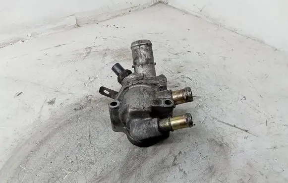 Thermostat/thermostat housing
