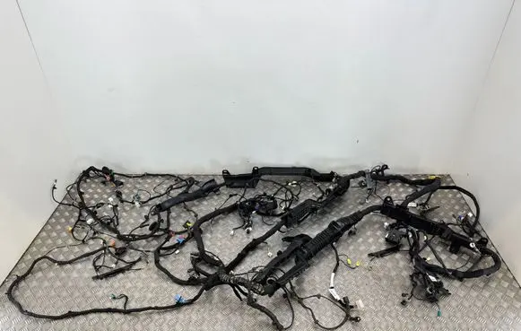 Fisker Ocean Wiring harness