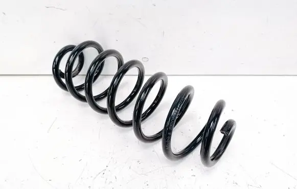 Rear coil spring
