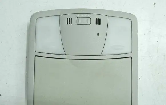 Nissan Leaf I (ZE0) Rear seat light