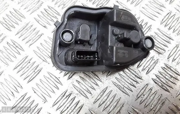 Renault Megane III Tail light bulb cover holder 89076150