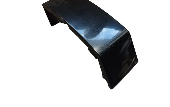 Rear/tail light trim molding