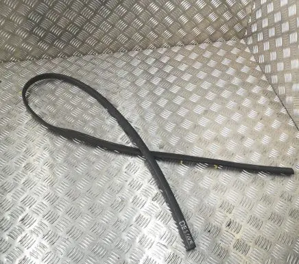 Ford F150 Front door rubber seal